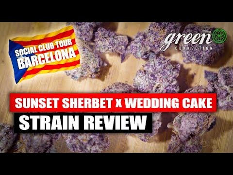 where can you buy weed edibles