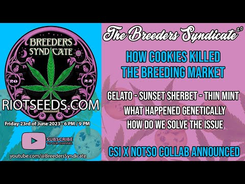 where can you buy weed edibles